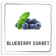 blueberrysorbet