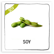 soy